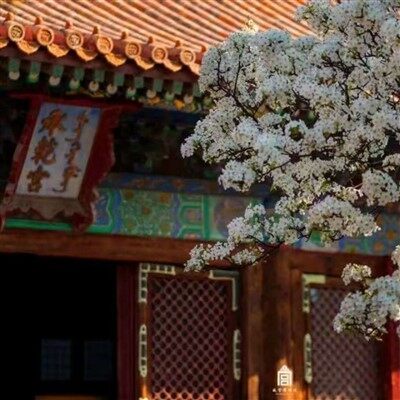 Five Days Of Beijing Tourism