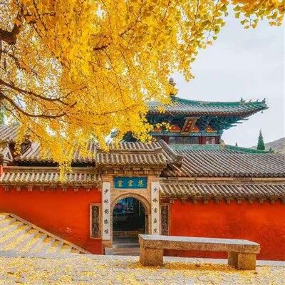 Шест{0}}дневна обиколка на храма Шаолин и пещерите Лонгмен в Хенан