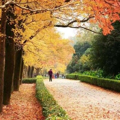 ทัวร์ในเชิงลึกสามวันของหนานจิง