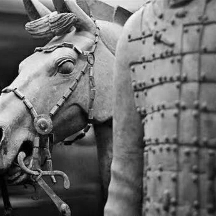 Terracotta Warriors Tour Guide in Xi'an