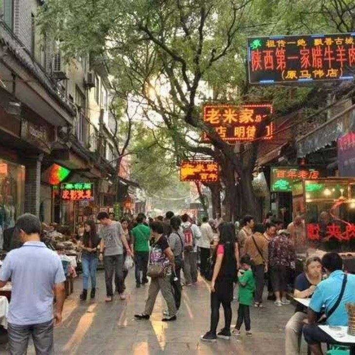 Recommended Terracotta Warriors Tours in Xi'an