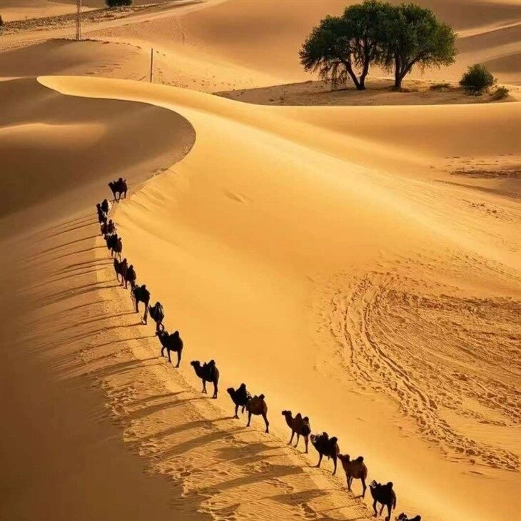 Southern Xinjiang Line