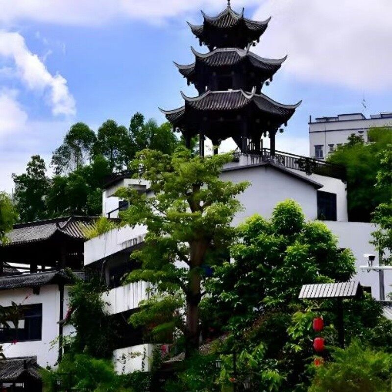 6-Day Guangdong Six-City Tour