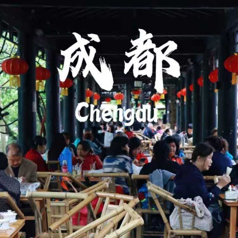 6-Day High-Speed ​​Train Circular Guide to Chengdu, China