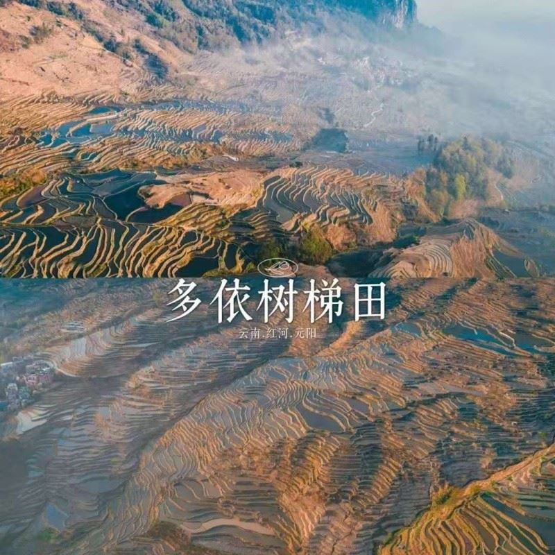 雲南旅遊推薦