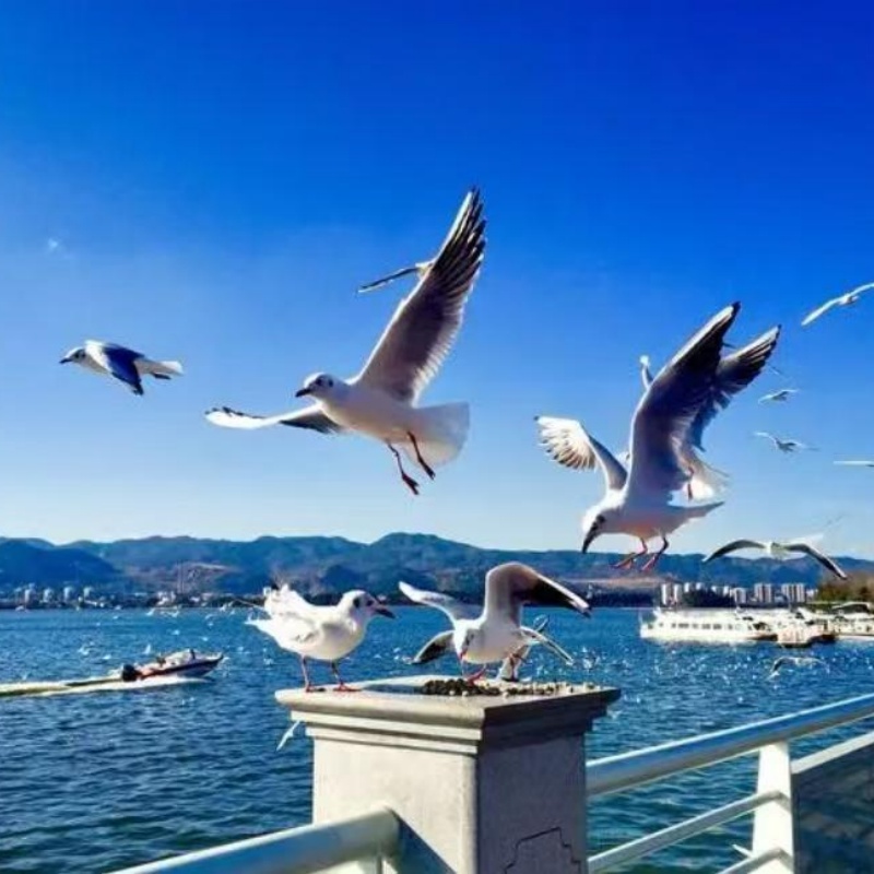 云南旅游