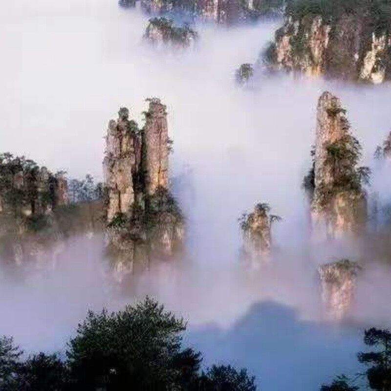 Daily Tours to Zhangjiajie, China