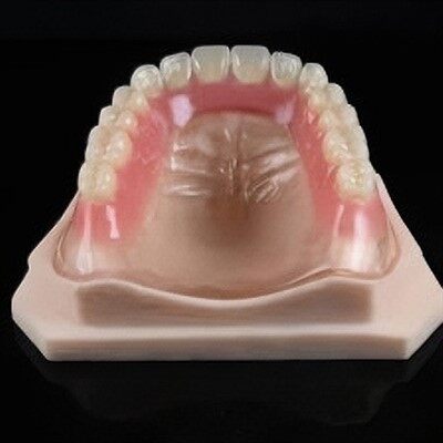 Tannlæknir heill efri og neðri dalplast