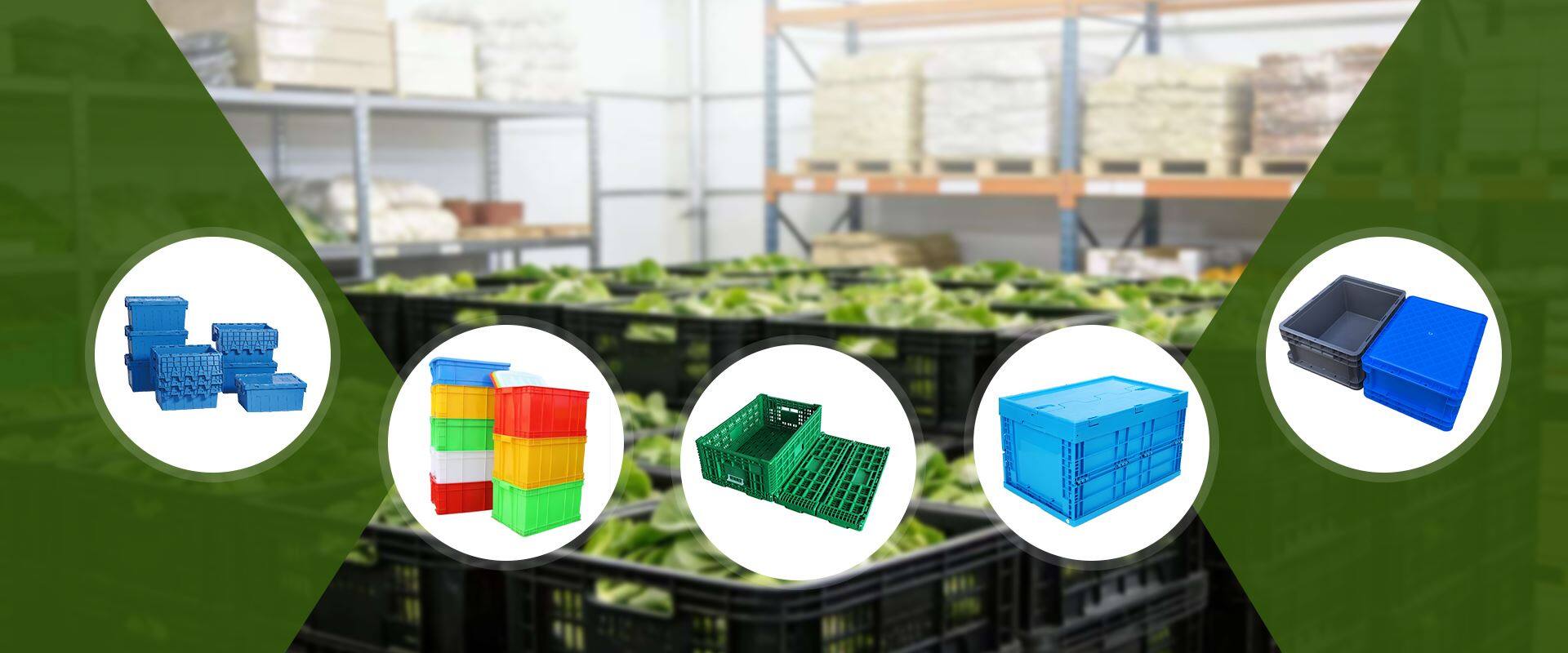 Politica de cookie-uri