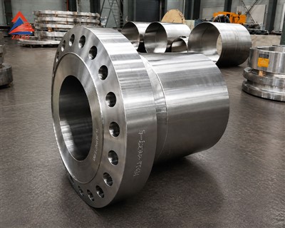 Petrochemical Flange