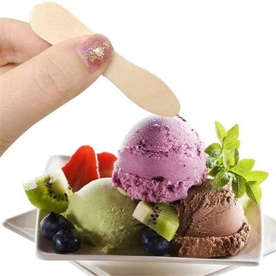 Disposable Ice Cream Scoop