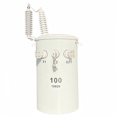 100 kVA jednofazni montirani transformator