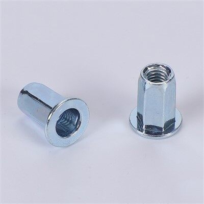 Platte kop vol hex body klinknoot noten