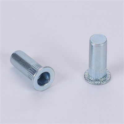 ጠፍጣፋ ጭንቅላት የአካል ጉዳተኛ የአካል ጉዳተኛ የዘር ፍሬዎች