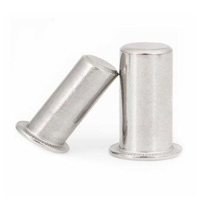 平头圆形牢固的钢铆钉螺母