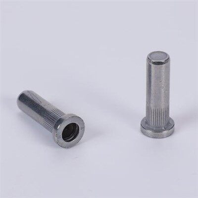 Buru laua zigilatzeko intxaur