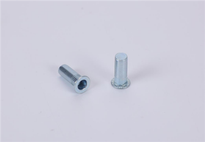 Reduce Head Knurled Body Close End Rivet Nut