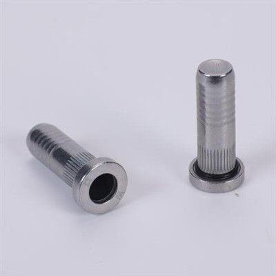 Rivet Nut with Sealing Ring