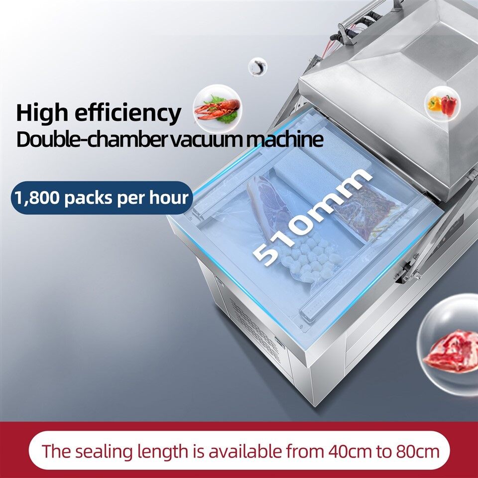Dual Chamber Vacuum Sealer best