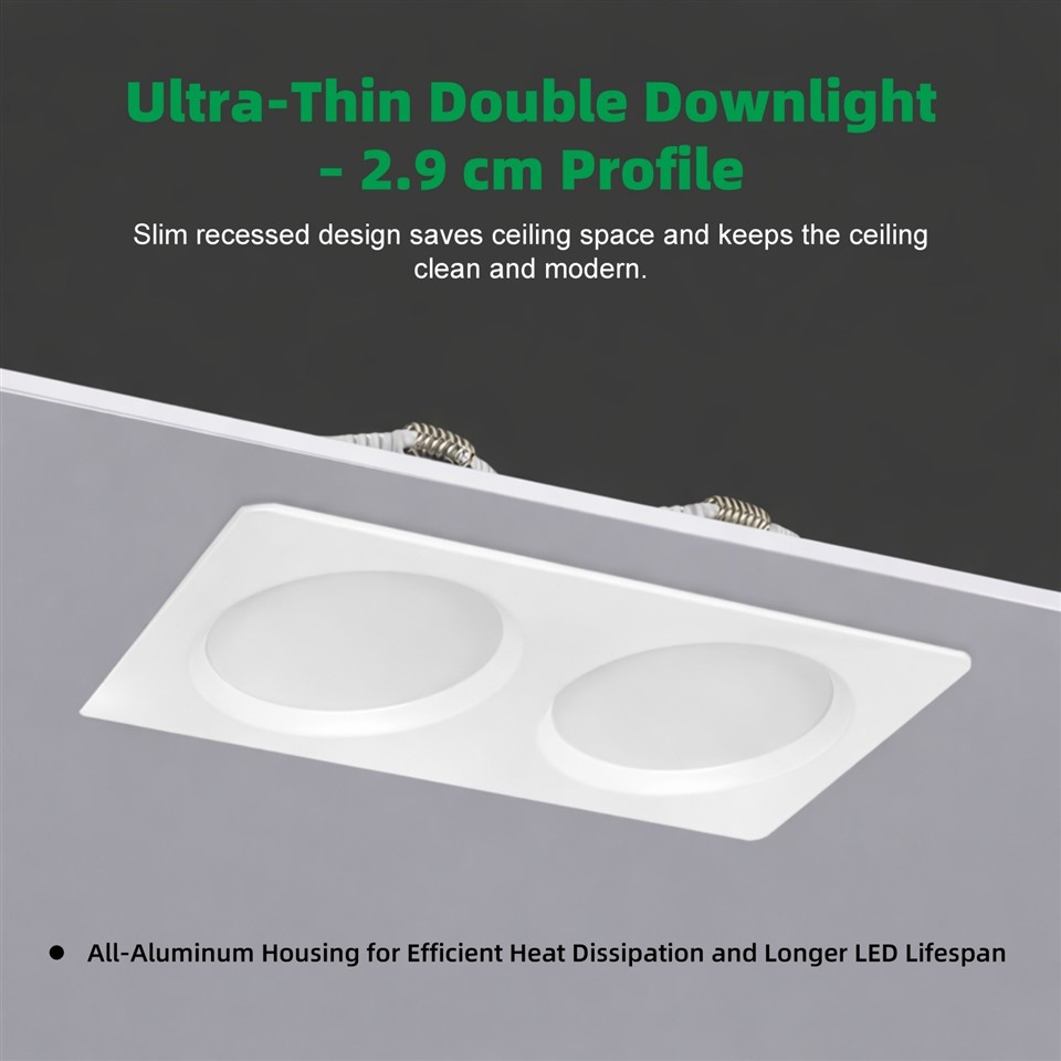 Double Downlight suppliers