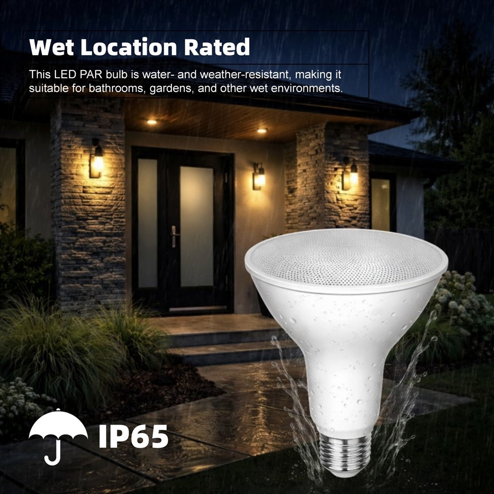 LED PAR Bulb suppliers