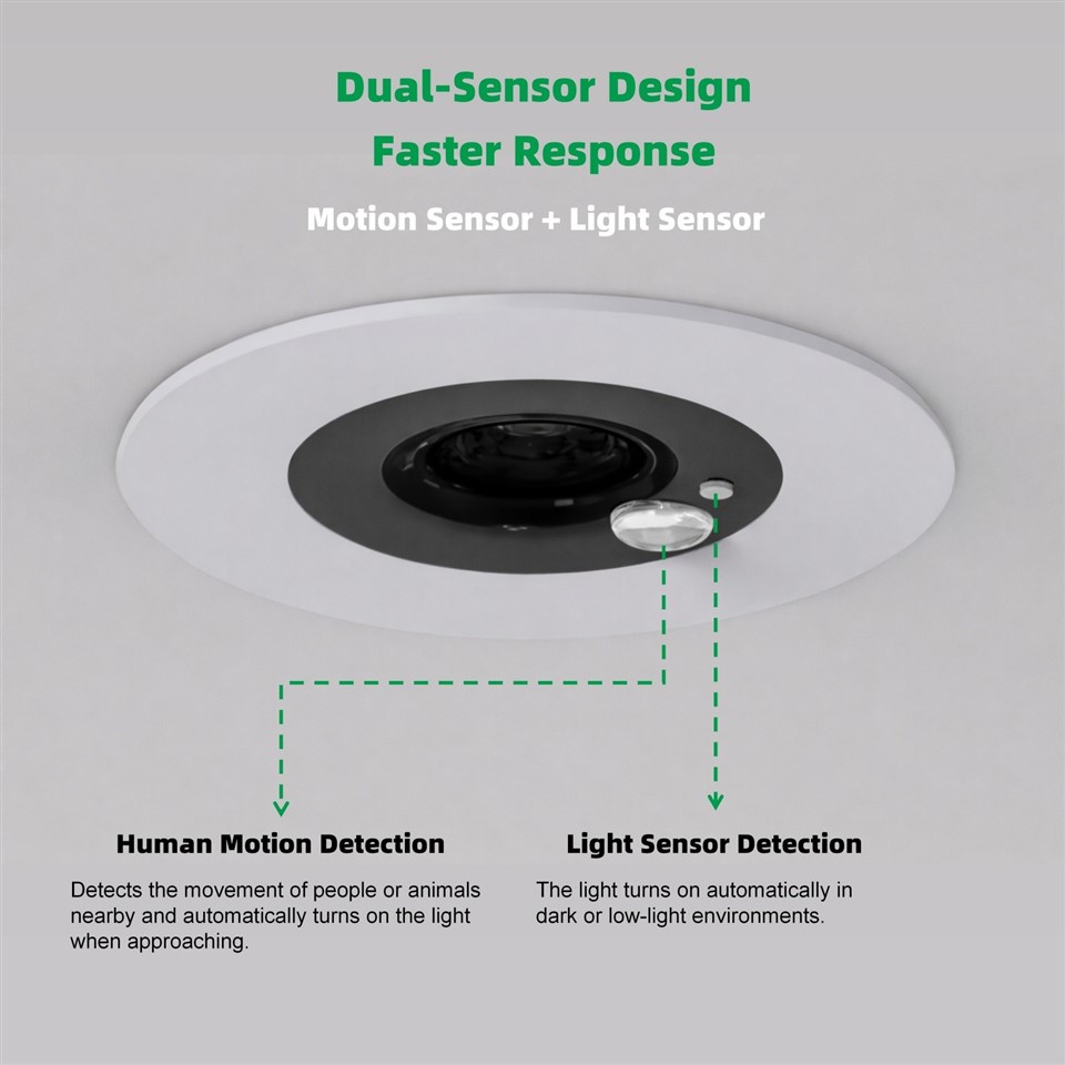 Motion Sensor Downlight suppliers
