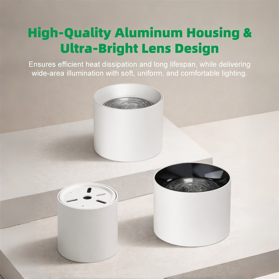 Surface Mounted Cylinder Downlight suppliers