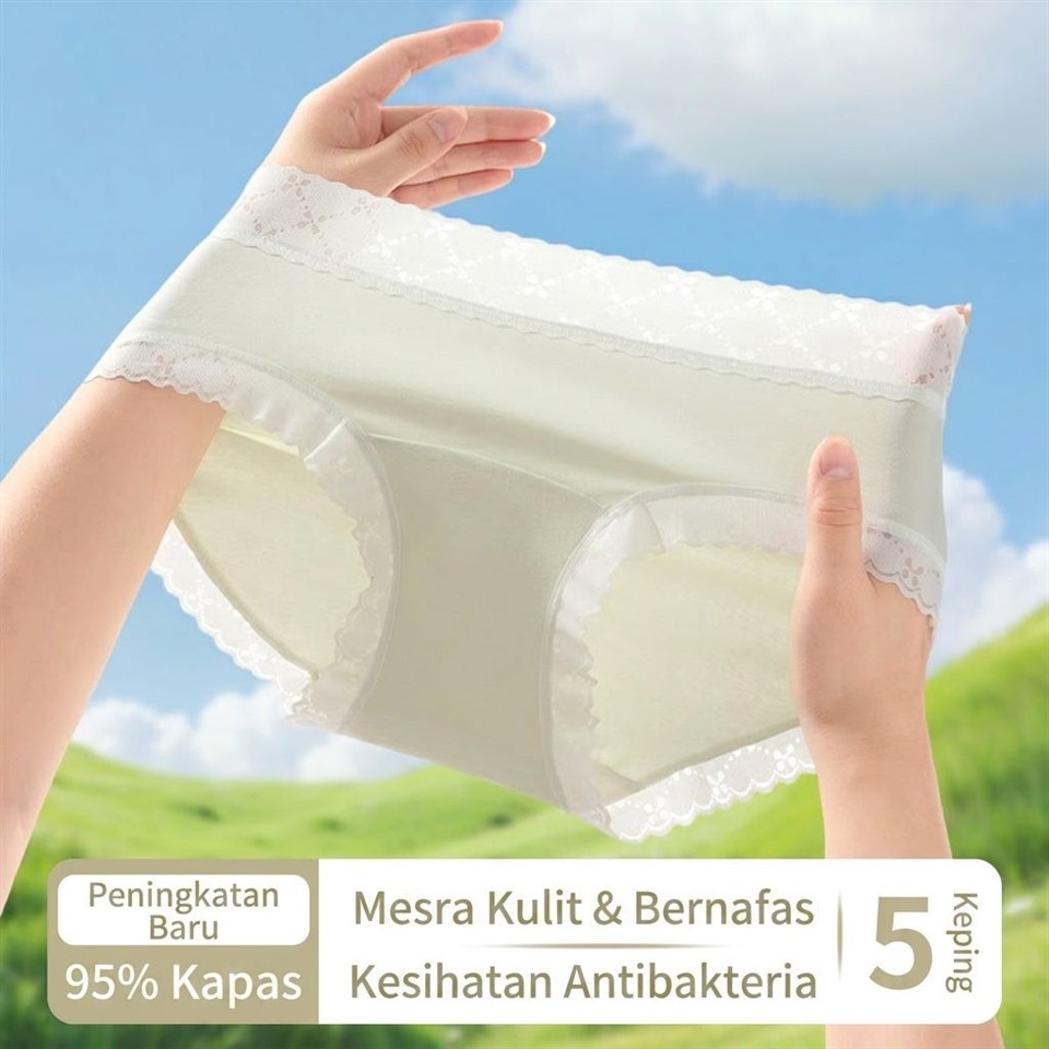Antimicrobial Underwear Women's price