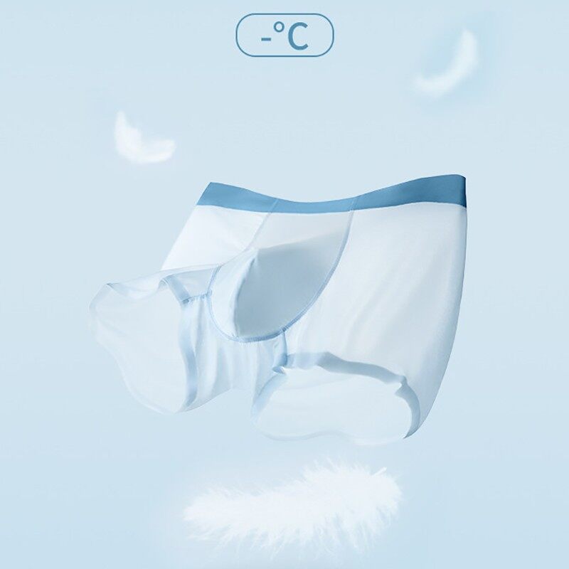 Mens Nylon Underwear Boxer Briefs suppliers