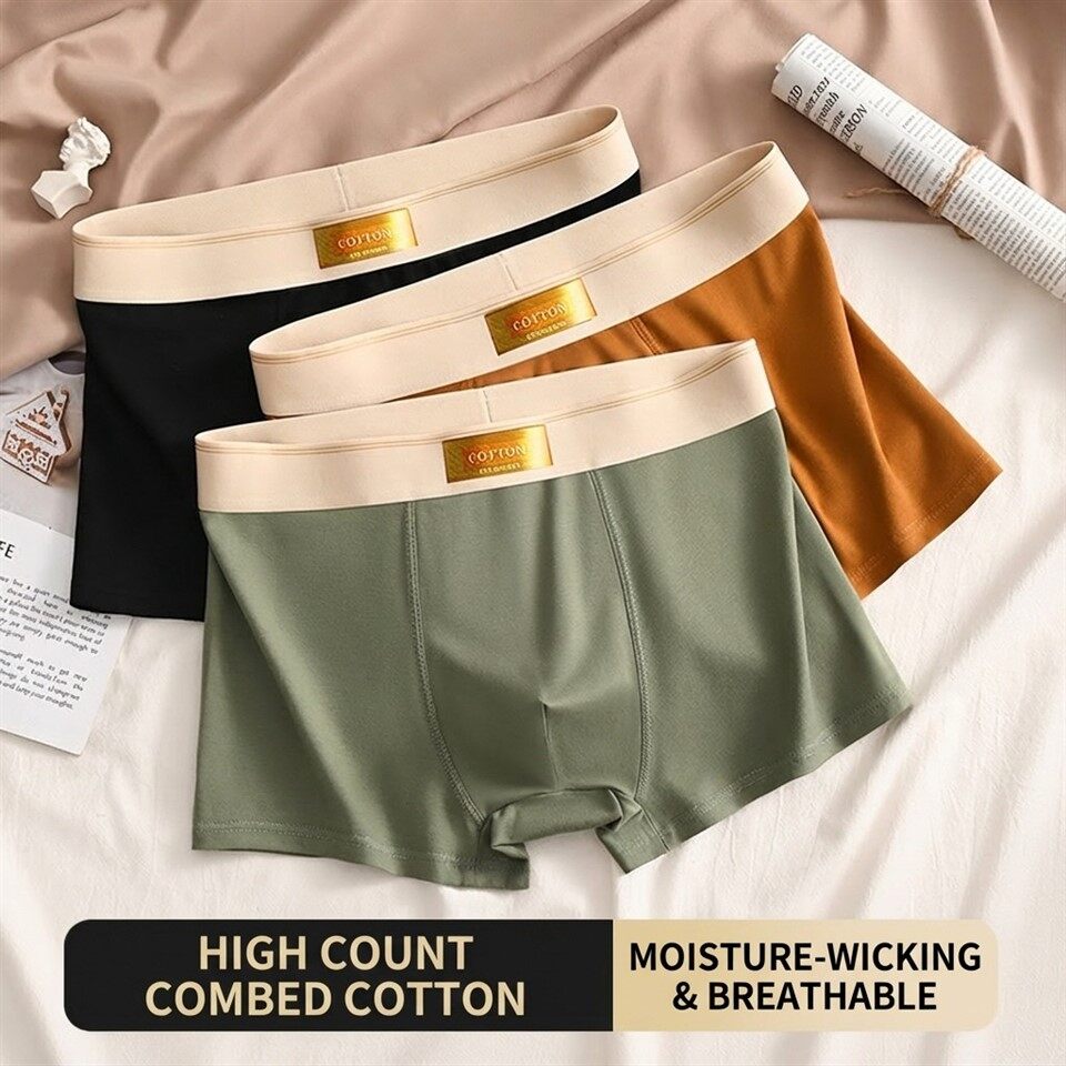 Mens Plus Size Boxer Briefs best