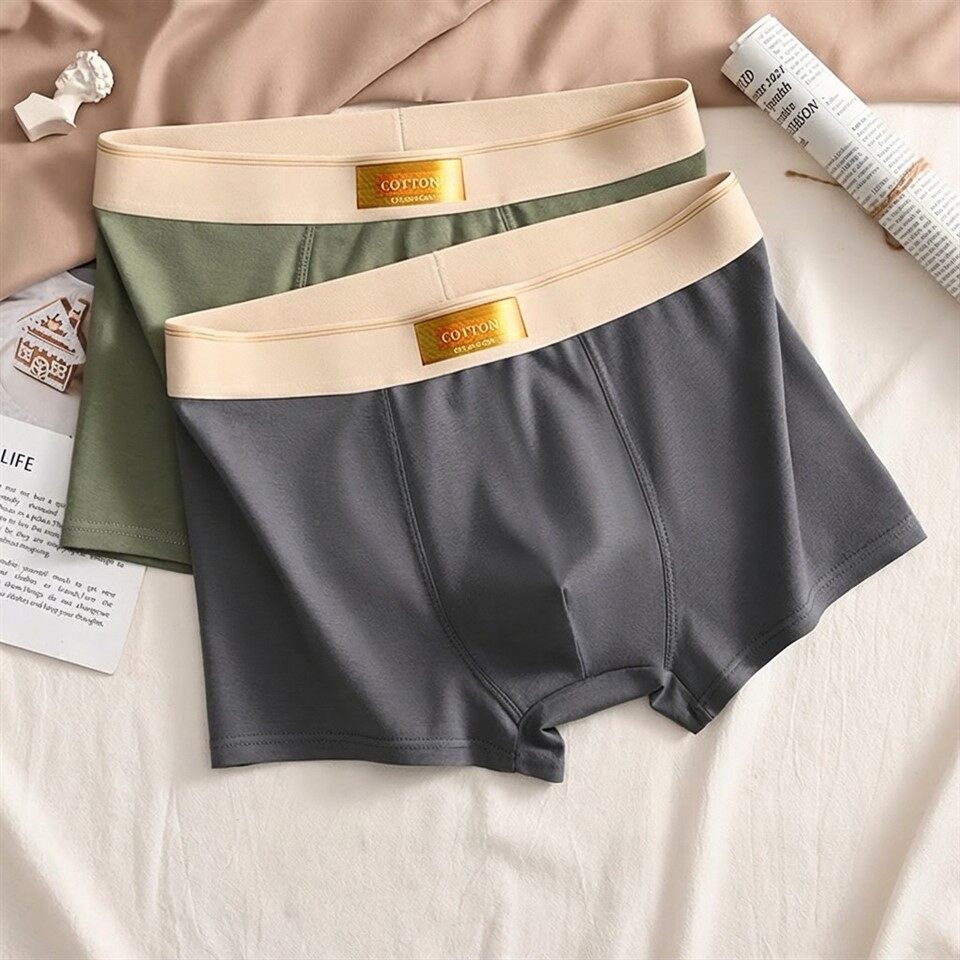 Mens Plus Size Boxer Briefs factory