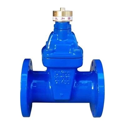 Válvula de gaveta selada-de criptografia magnética