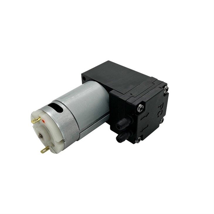 395 Vacuum Pump for Packaging Machines