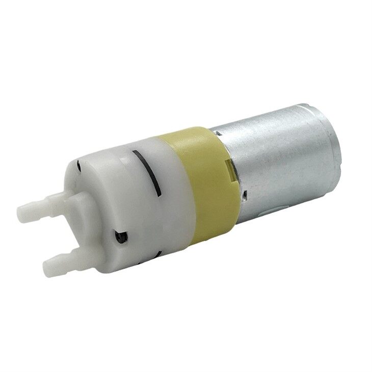 Selbst-Mini-Membran-Wasseransaugpumpe mit Anti--Leckage-Rückschlagventil