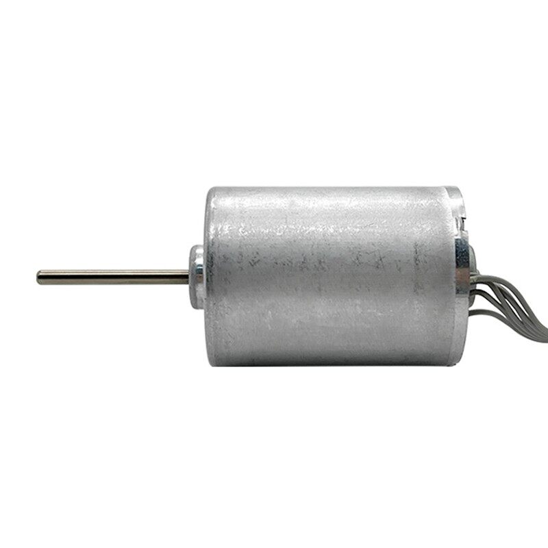 Brushless motor water pump and air pump