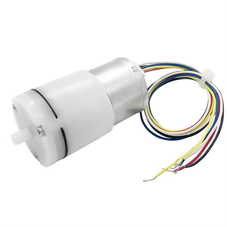 brushless air pump 12v