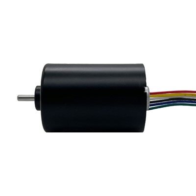 3650 Brushless DC Gear Motor With PWM Speed Control (12V/24V) | PinMotor