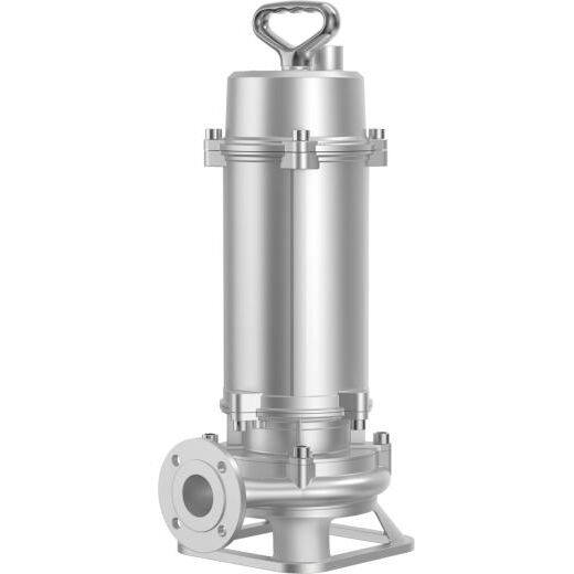 Ponp dlo egou asye pur‌