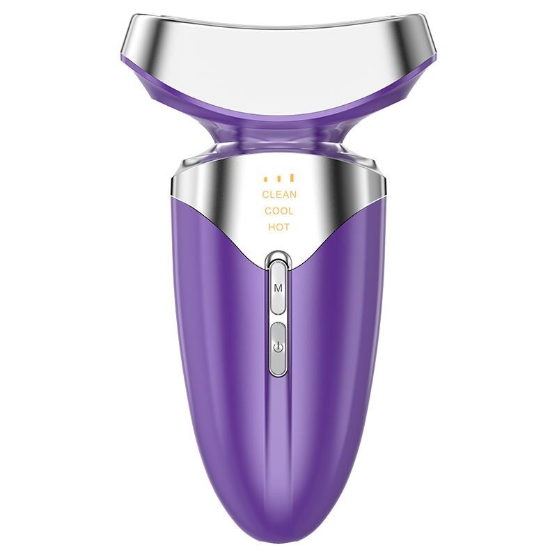 Home Use Facial Multifunctional Beauty Device best