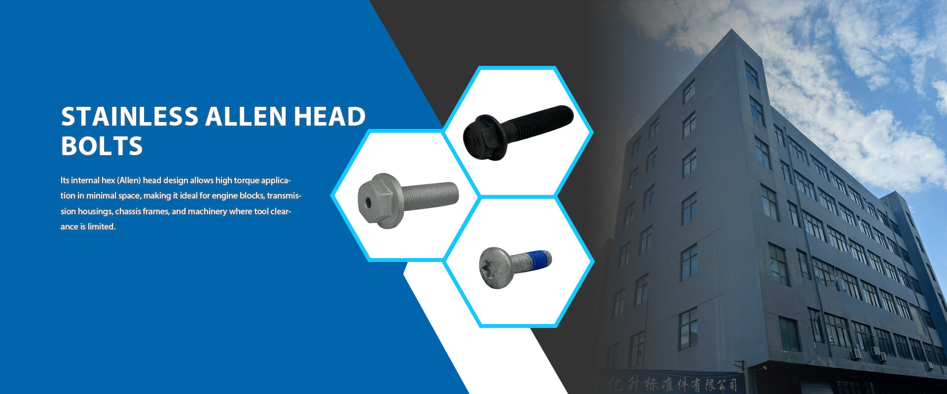 מדיניות עוגיות