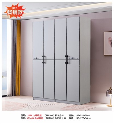 Tall Closets with Doors